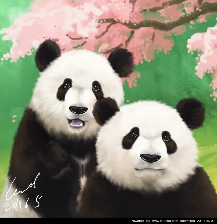 Բ鿴Ʒͼ
