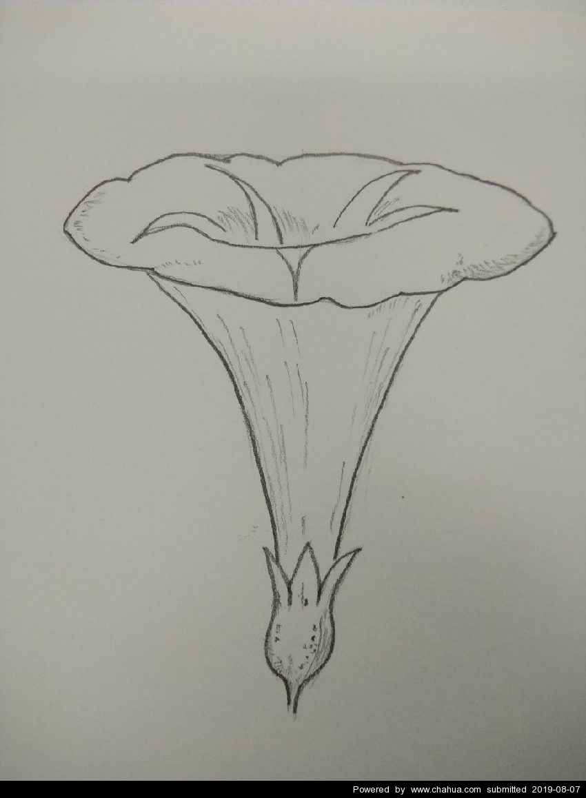 Բ鿴Ʒͼ