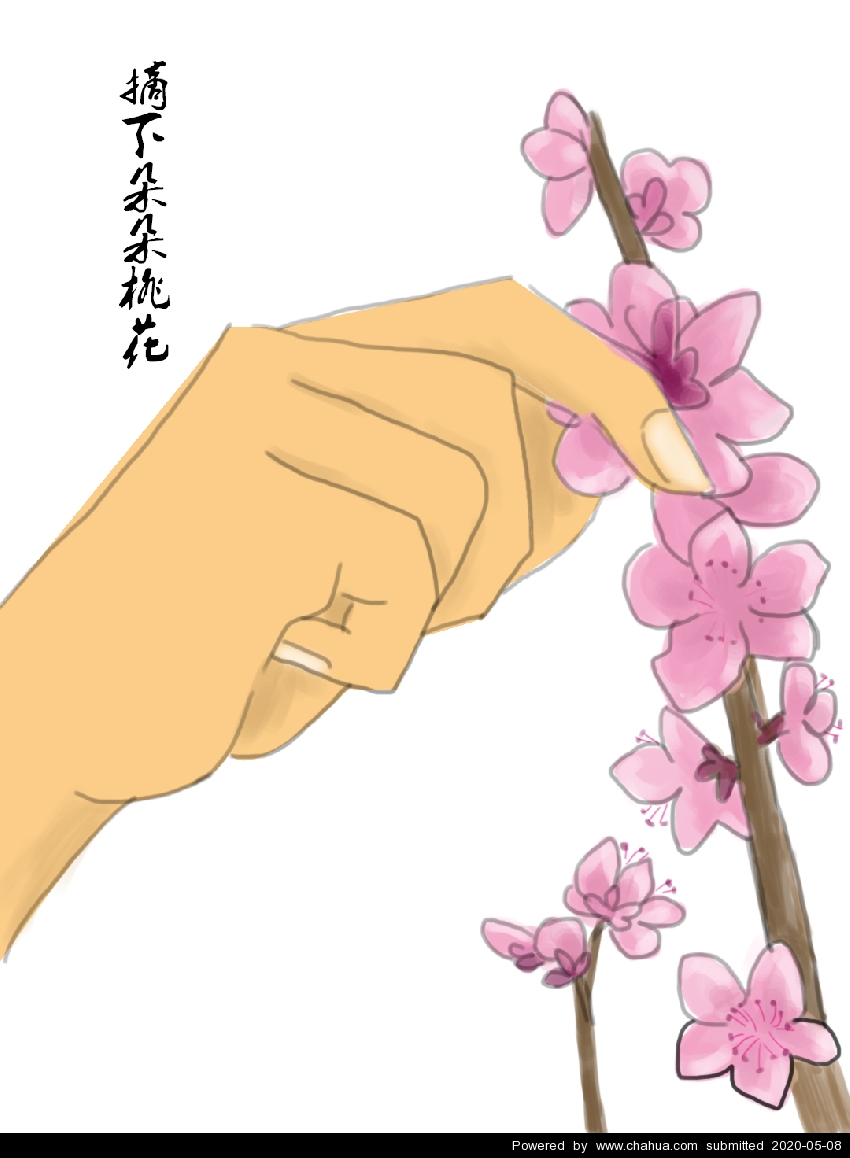 Բ鿴Ʒͼ