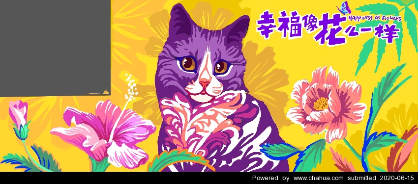 Բ鿴Ʒͼ