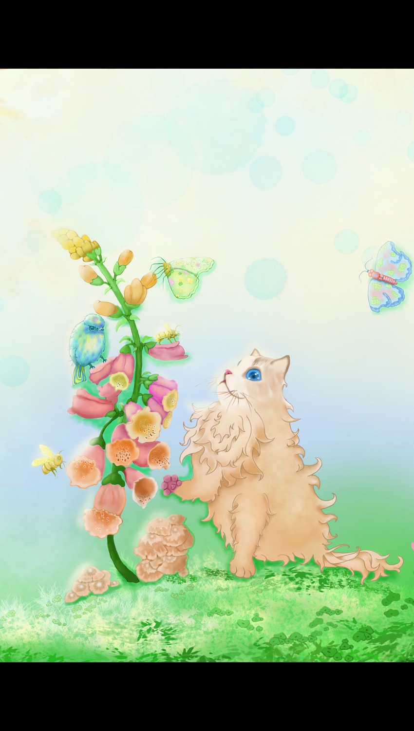 Բ鿴Ʒͼ