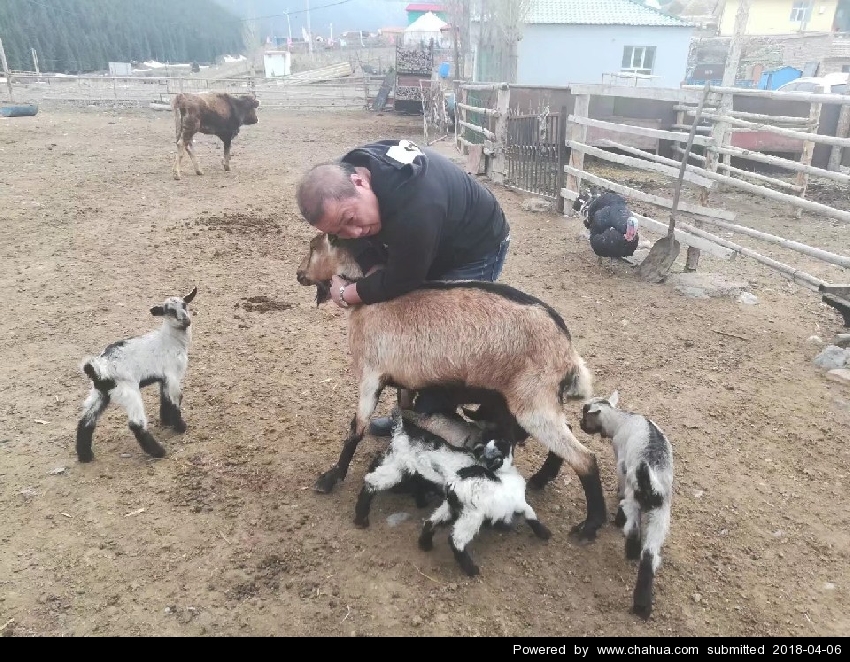 单击可以查看作品大图